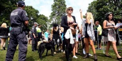 The Surprising Truth About Sniffer Dogs At Music Festivals